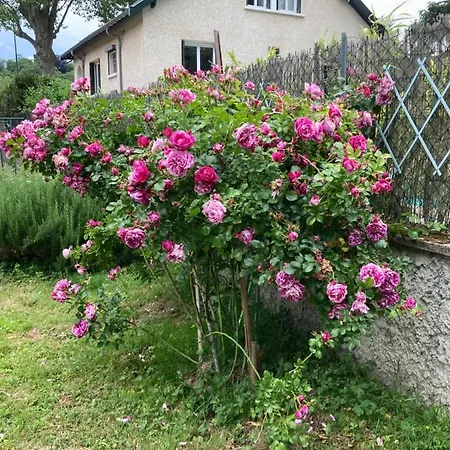 Comme A La Maison !